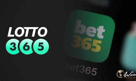 bet365 greyhounds